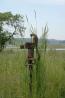 June 7, 2008 Image